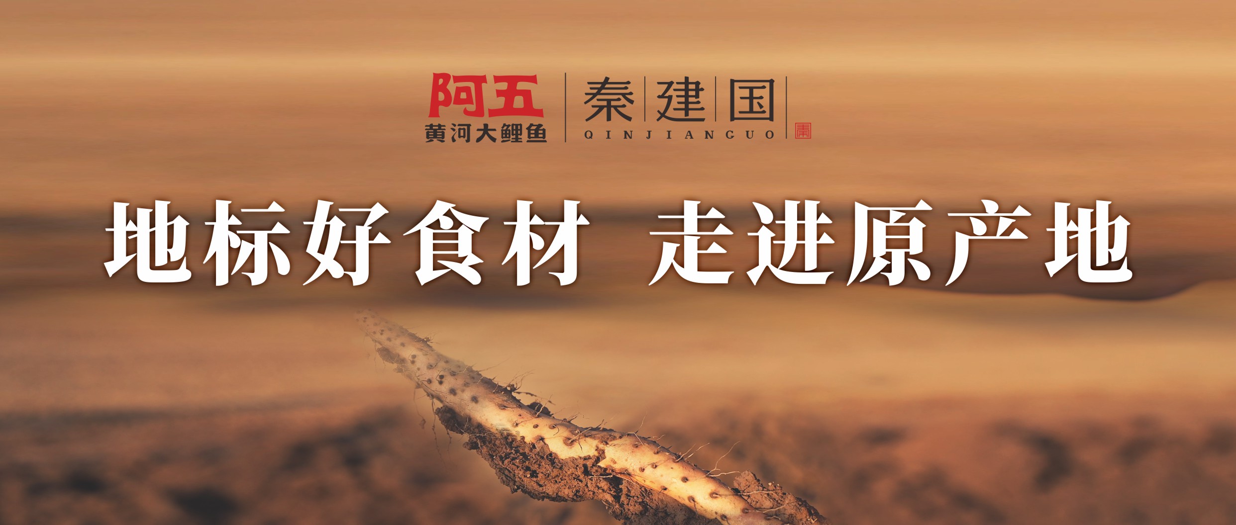 地标好食材 走进原产地|阿五垆土铁棍山药基地正式揭牌